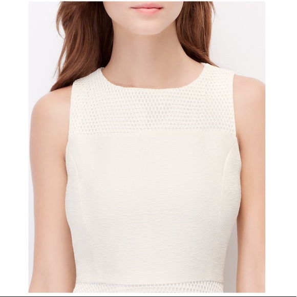 NWT ANN TAYLOR White Mesh Embroidered Dress - Picture 4 of 4